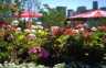 P028.jpg